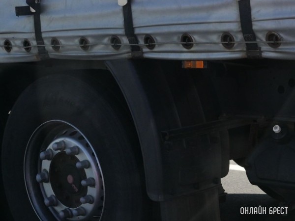 Дальнобойщика с поддельным разрешением на перевозку грузов остановили под Жабинкой, возбуждено дело