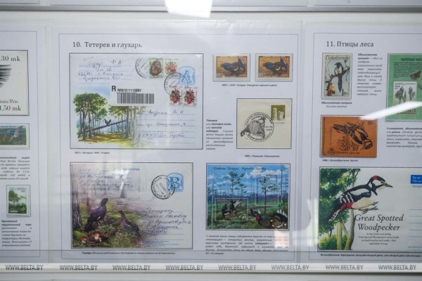 Коллекции из семи стран представлены в Бресте на филателистической выставке для детей и молодежи