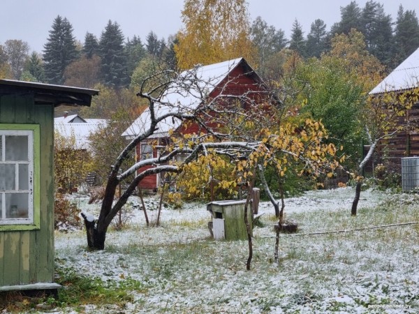 В Беларуси выпал снег