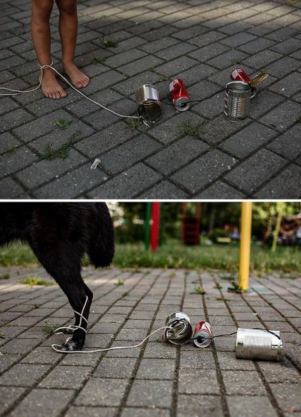 До слез. В Гомеле сняли фото о чувствах бездомных животных До слез. В Гомеле сняли фото о чувствах бездомных животных