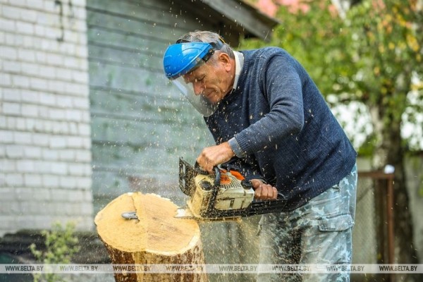 «Пусть люди получают удовольствие». Мастер из Каменецкого района создал более 300 деревянных скульптур «Пусть люди получают удовольствие». Мастер из Каменецкого района создал более 300 деревянных скульптур