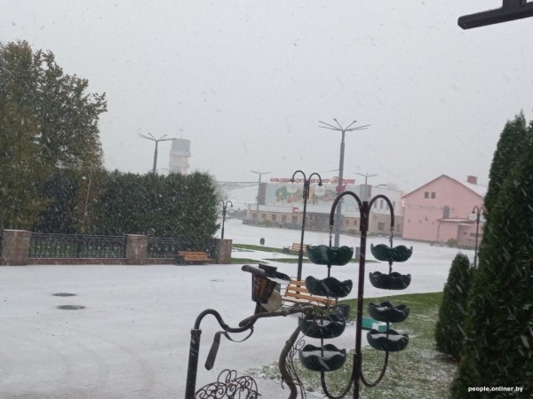 В Беларуси выпал снег