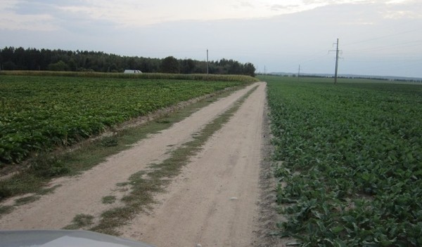 Дедушка перевозил внуков в прицепе к трактору, один из них не удержался и погиб. СК рассказал подробности Дедушка перевозил внуков в прицепе к трактору, один из них не удержался и погиб. СК рассказал подробности