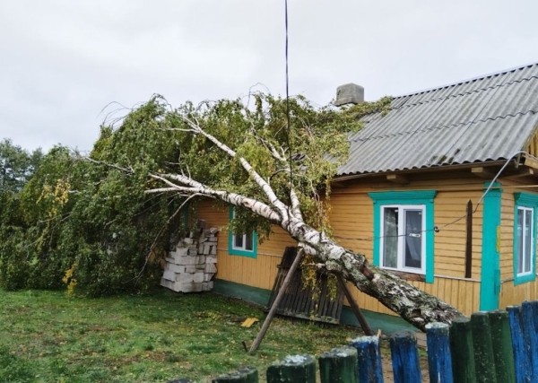Смотрите, что натворила непогода на Брестчине