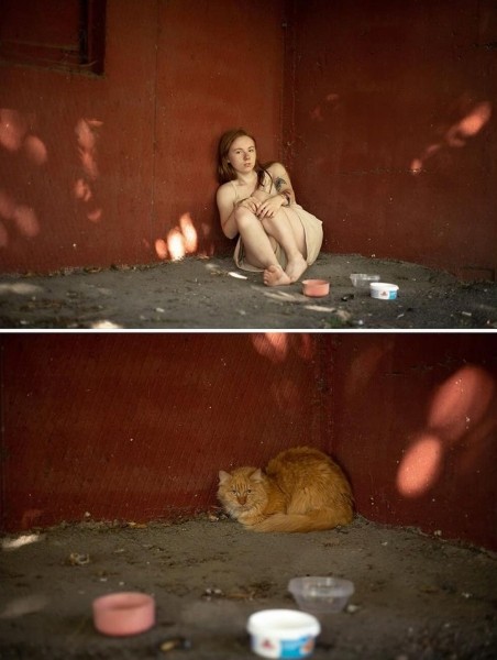 До слез. В Гомеле сняли фото о чувствах бездомных животных До слез. В Гомеле сняли фото о чувствах бездомных животных