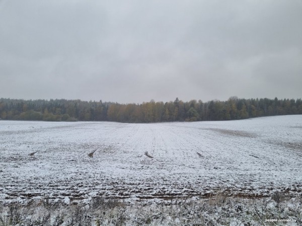 В Беларуси выпал снег