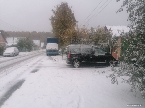 В Беларуси выпал снег