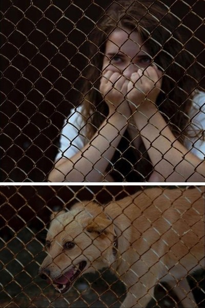 До слез. В Гомеле сняли фото о чувствах бездомных животных До слез. В Гомеле сняли фото о чувствах бездомных животных