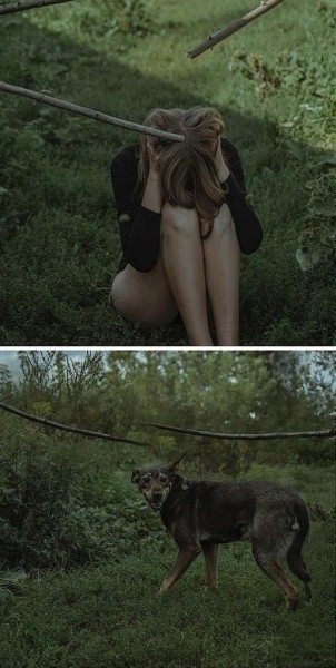 До слез. В Гомеле сняли фото о чувствах бездомных животных До слез. В Гомеле сняли фото о чувствах бездомных животных