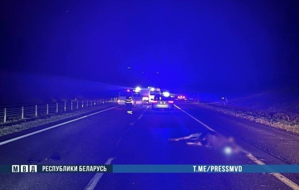 Жуткое ДТП на М1: наезд на дикое животное - погибли водитель и ребенок  