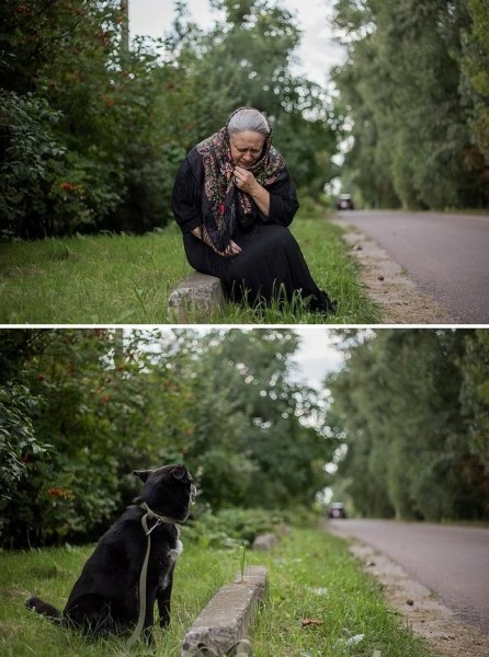 До слез. В Гомеле сняли фото о чувствах бездомных животных До слез. В Гомеле сняли фото о чувствах бездомных животных