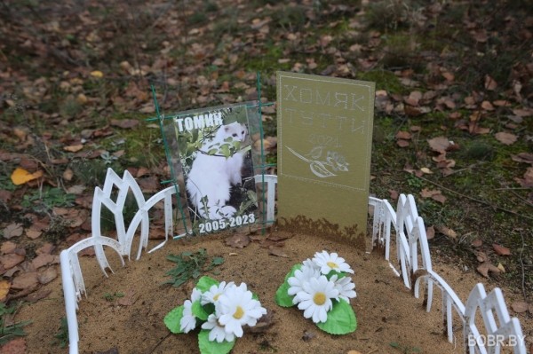 «Чипашка, спасибо за службу». Как выглядит стихийное кладбище домашних животных в Бобруйске