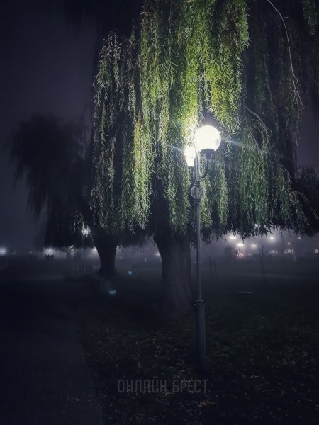 
                Читатель: Брест, Набережная. Фото были сделаны год назад
            