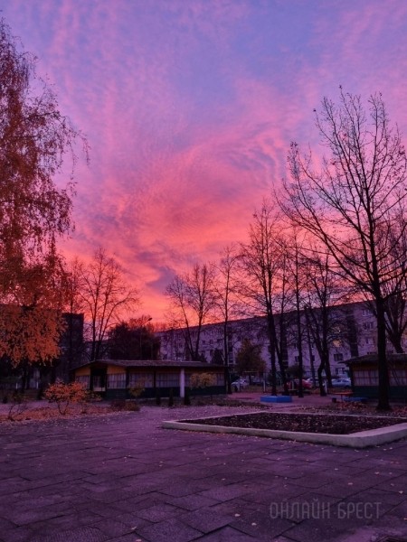 
                Читатель: Прекрасный рассвет был сегодня в Бресте
            