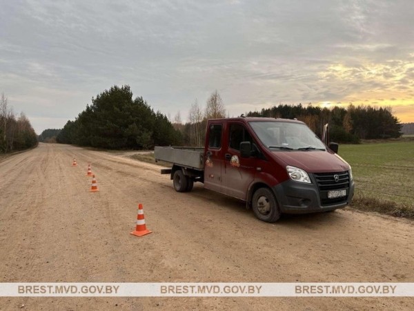 ДТП недалеко от Бреста: 71-летняя велосипедистка попала под колеса автомобиля ДТП недалеко от Бреста: 71-летняя велосипедистка попала под колеса автомобиля