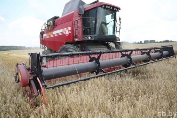 Сколько белорусов работает в сельском хозяйстве и какие у них зарплаты