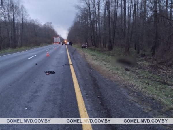 Лось стал причиной ДТП со смертельным исходом