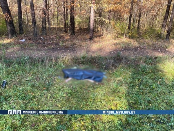 Водитель с пассажиром бросили машину и сбежали. Rover сбил насмерть 26-летнюю девушку