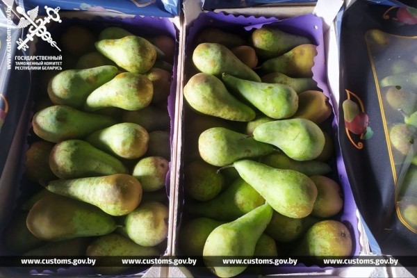 Из Беларуси пытались контрабандой вывезти груши на 1 млн рублей