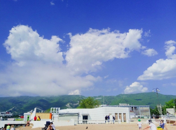 
                Читатель: Привет Бресту из Геленджика
            