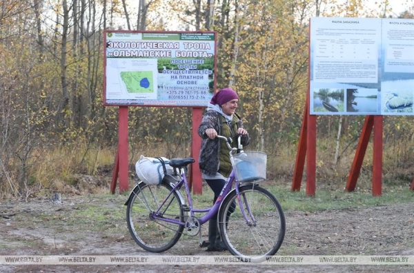 Ольманские болота - клюквенный рай (Брестская область)