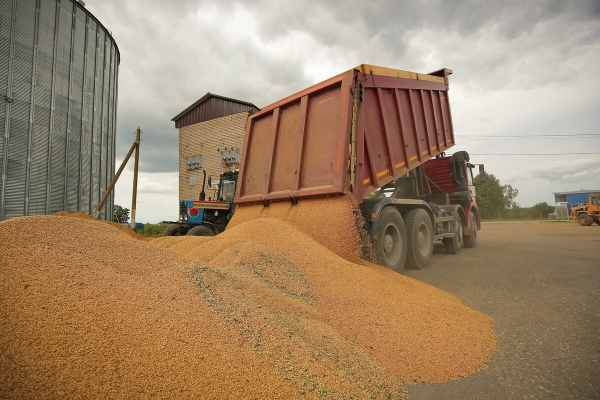 Водитель самого крутого комбайна в Беларуси: «За 1 000 рублей в поле точно бы не работал!»
