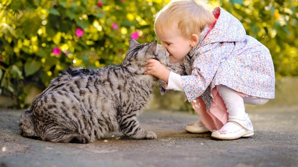 Дети и домашние животные. От первого знакомства до дружбы на всю жизнь Дети и домашние животные. От первого знакомства до дружбы на всю жизнь