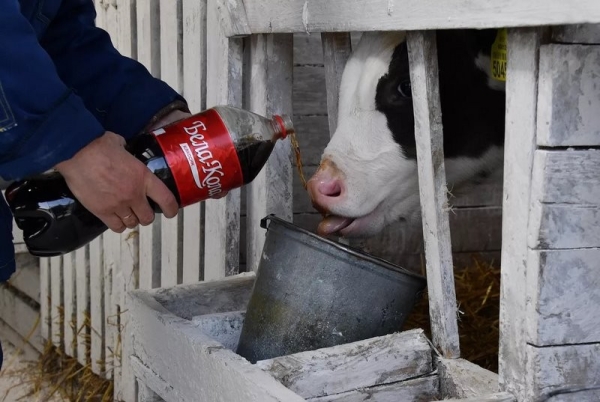 В Брестской области построят 10 новых молочно-товарных ферм В Брестской области построят 10 новых молочно-товарных ферм