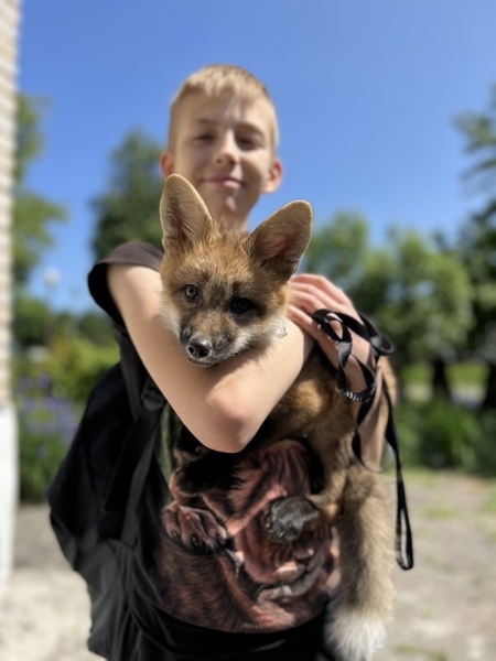 Белоруска завела дома настоящую лису