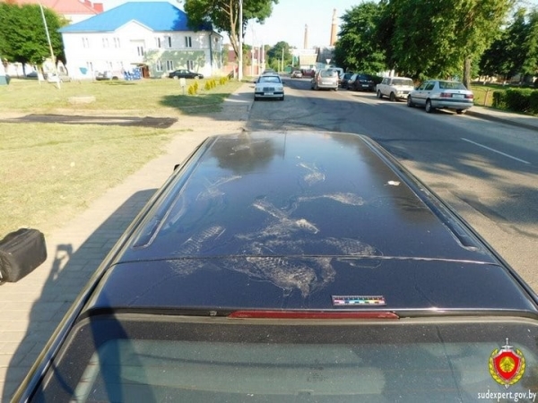 В Беларуси нетрезвый подросток решил станцевать на крыше авто. Его нашли по кедам