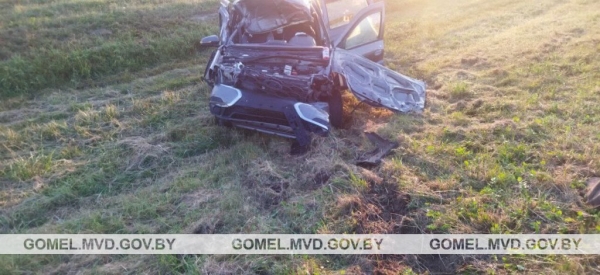 Встреча с лосем закончилась кюветом и реанимацией. А как нужно было поступать?