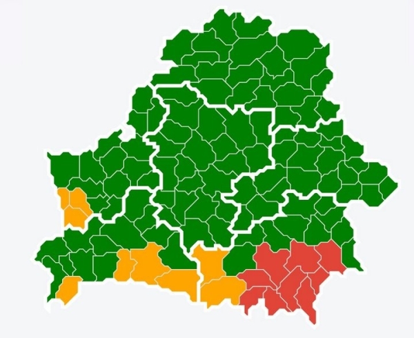 В четырех районах Брестской области сохраняются ограничения на посещение лесов