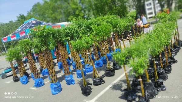 В Бресте на площадке у торгового центра «ЭКВАТОР» проходит выставка-ярмарка «Садовый маркет»