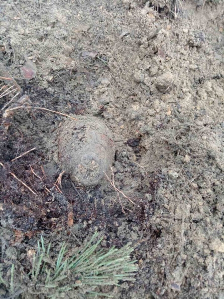 Под Пинском обнаружен артиллерийский снаряд времен Великой Отечественной войны Под Пинском обнаружен артиллерийский снаряд времен Великой Отечественной войны