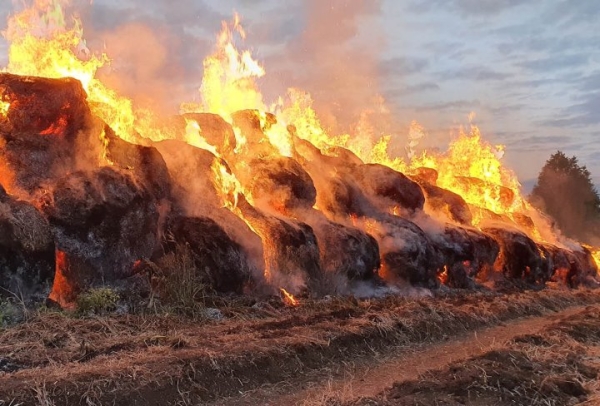 Житель Брестской области из мести сжег 127 тонн соломы двух сельхозпредприятий Житель Брестской области из мести сжег 127 тонн соломы двух сельхозпредприятий