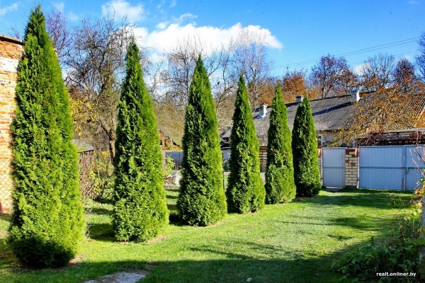 «Это чудесное место». Как живут семьи, чьи дома находятся на территории Брестской крепости «Это чудесное место». Как живут семьи, чьи дома находятся на территории Брестской крепости