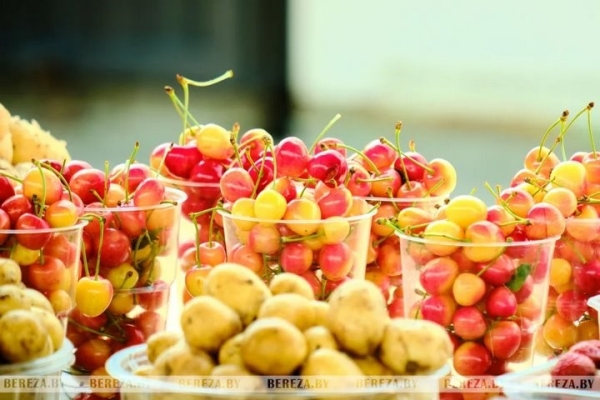 Первые лесные ягоды появились на рынке в Березе. Цены Первые лесные ягоды появились на рынке в Березе. Цены