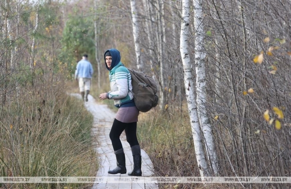Ольманские болота - клюквенный рай (Брестская область)