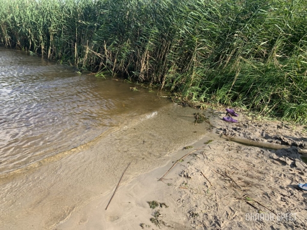 На реке Лесная в Каменце спасли мужчину