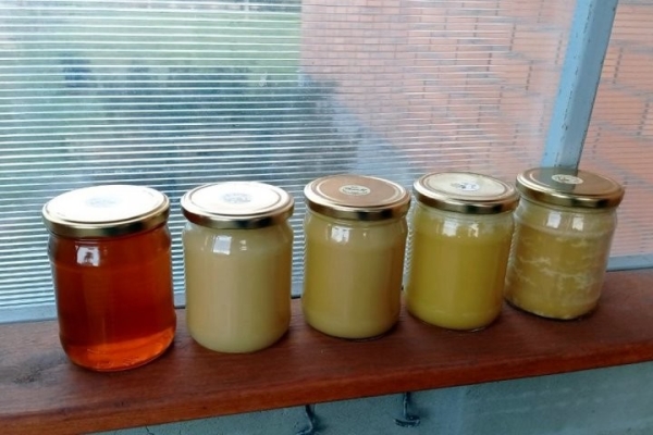 Увлечение родом из детства: как пчеловод из Кобрина продолжает дело родителей