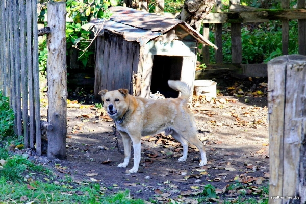«Это чудесное место». Как живут семьи, чьи дома находятся на территории Брестской крепости «Это чудесное место». Как живут семьи, чьи дома находятся на территории Брестской крепости
