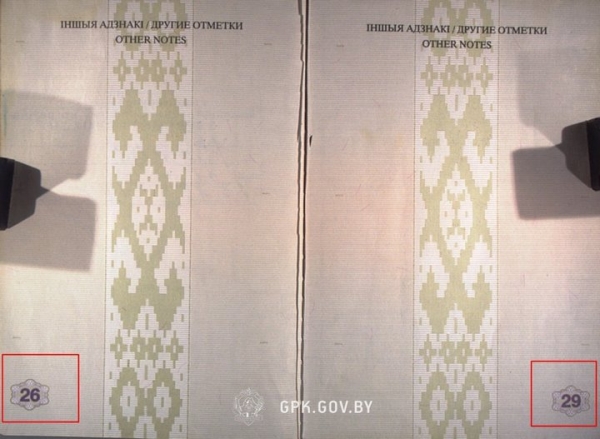 На границе в Бресте женщина предоставила паспорт со сроком действия до июня 2010 года