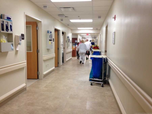 Минздрав рассказал, сколько врачей работает в системе здравоохранения