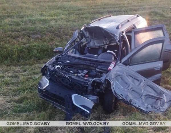 Встреча с лосем закончилась кюветом и реанимацией. А как нужно было поступать?