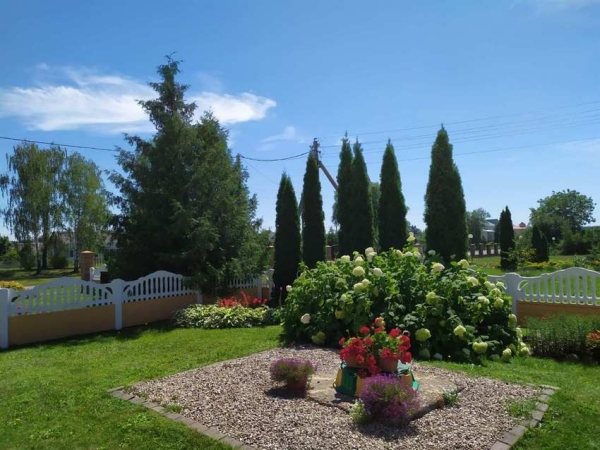 Полюбуйтесь на цветочный океан Видомли (агрогородок в Брестской области) Полюбуйтесь на цветочный океан Видомли (агрогородок в Брестской области)