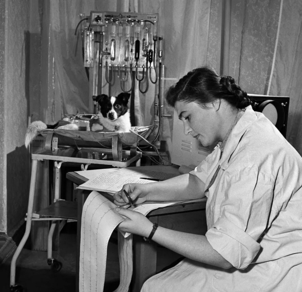 История самой одинокой и несчастной собаки в мире История самой одинокой и несчастной собаки в мире