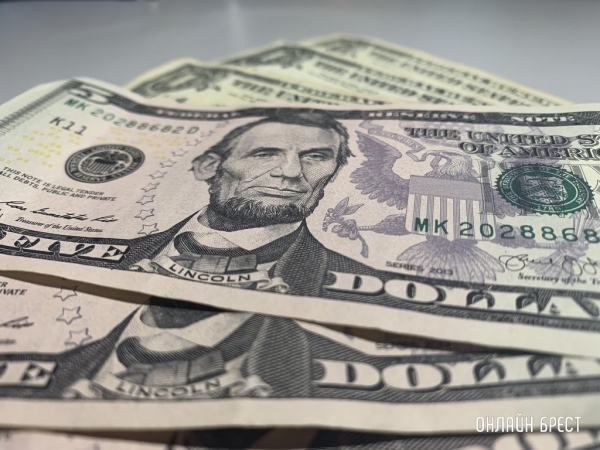 В Бресте заключили под стражу иностранца за попытку ввезти без декларирования $42,5 тыс.