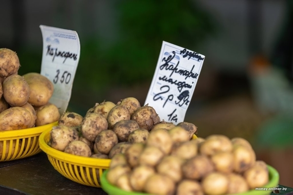 Наконец-то молодая белорусская картошка. Смотрим, почем у нас и у соседей
