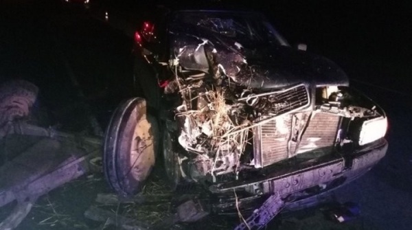 В Лунинецком районе столкнулись автомобиль и гужевая повозка - два человека в больнице