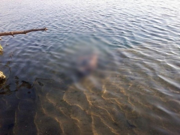 В Малоритском районе пропавшего без вести мужчину нашли утонувшим в мелиоративном канале